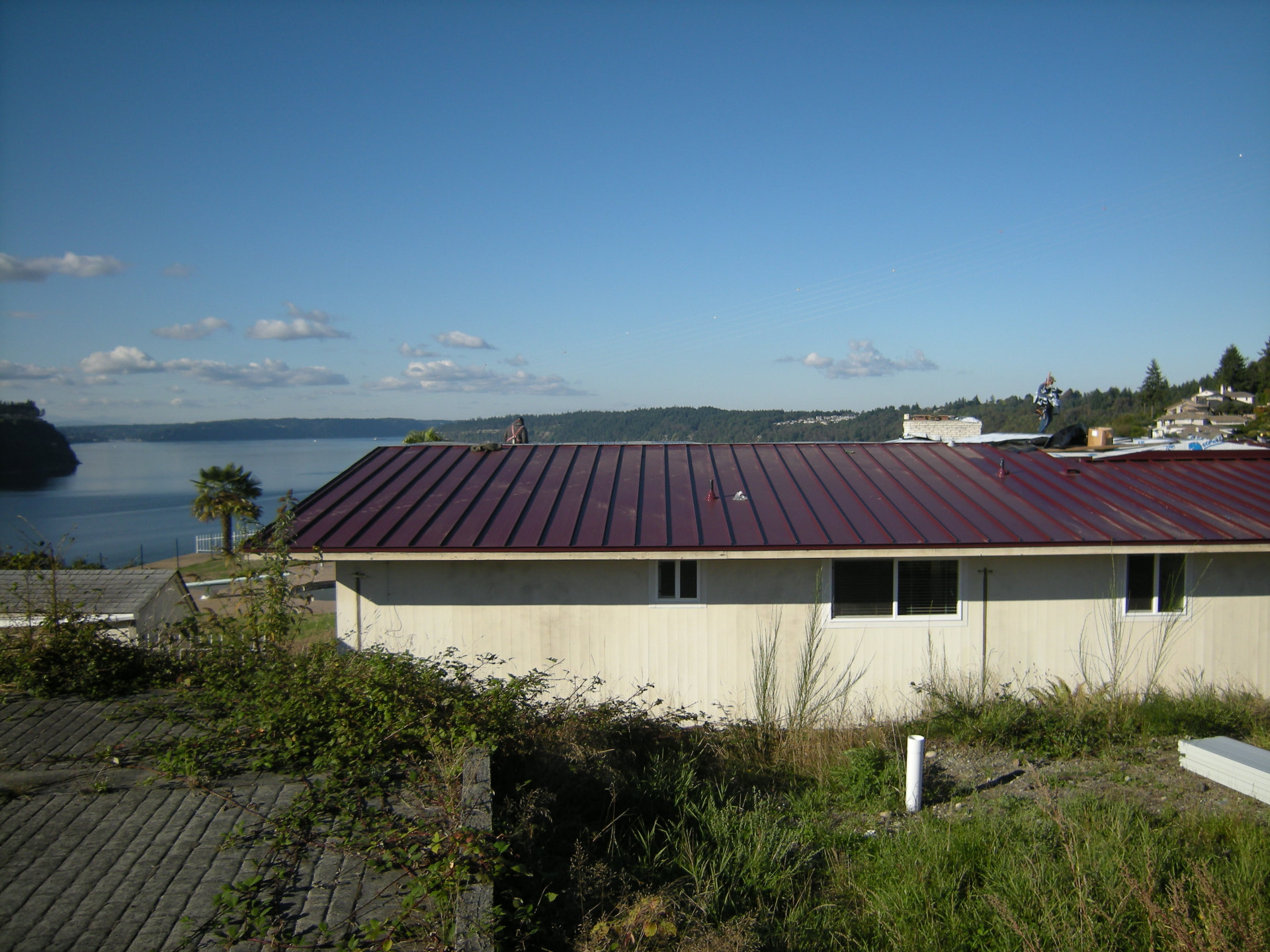 Metal roof going on mid-project after storm damage tear-off in Tacoma